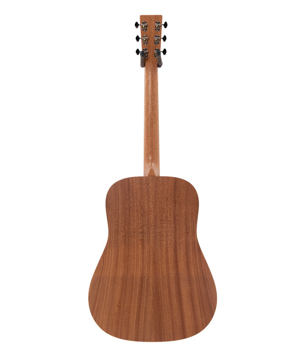 Martin D Biosphere III Acoustic Guitar - Printed Top with Polar Bear Theme | New