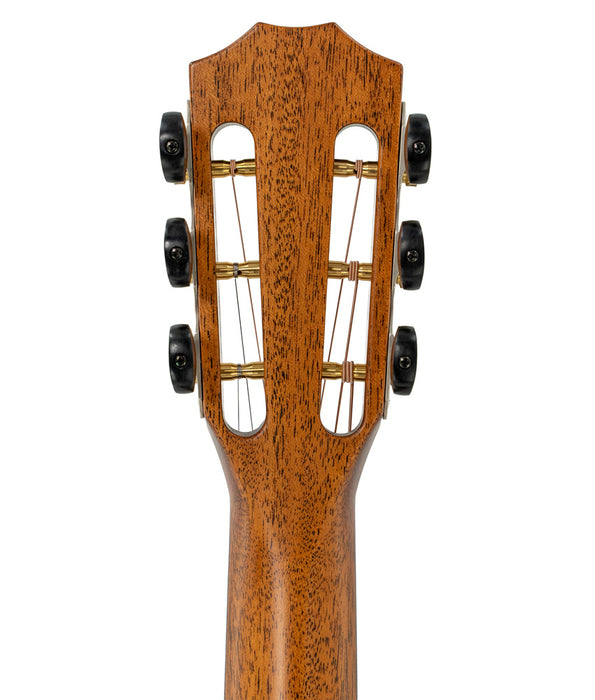 Taylor Next Generation 512ce 12-Fret Grand Concert Cedar/Mahogany Acoustic-Electric Guitar | New