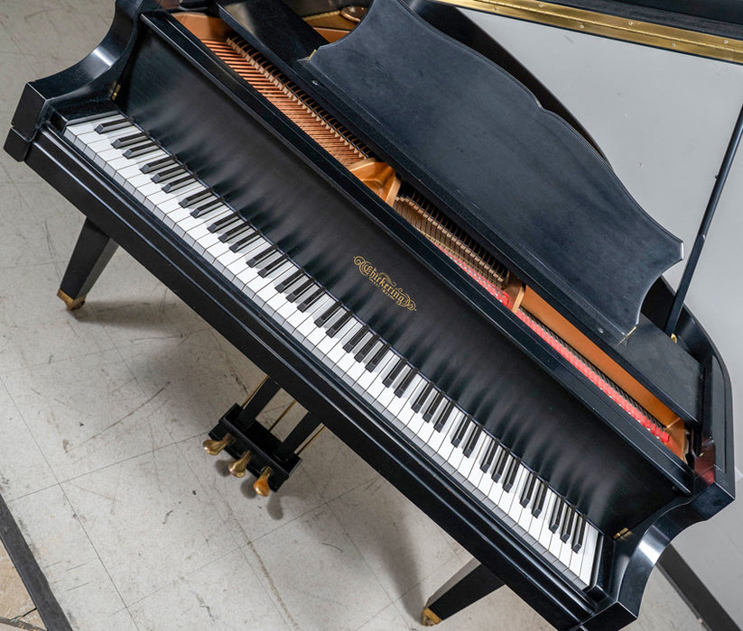 Chickering Baby Grand Piano | Satin Ebony | Used