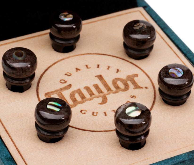 Taylor Water Buffalo Guitar Bridge Pins | Bone Brown with Abalone Inlays | New