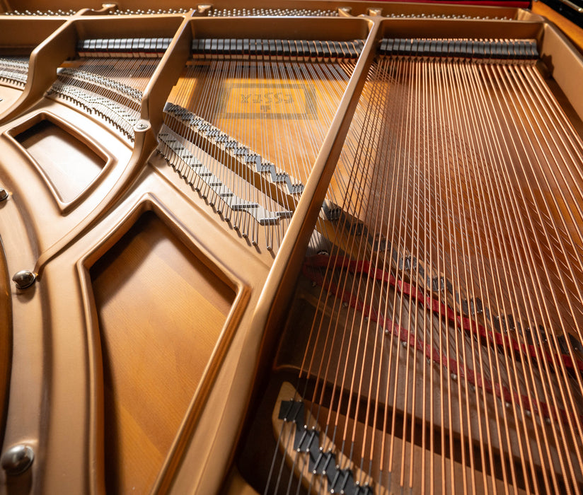 2001 Essex EGP160 Grand Piano | Polished Ebony | 5'2"| Serial No. E100610 | Used