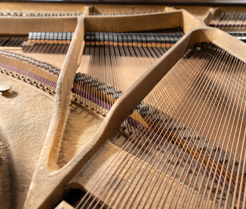 1963 Winter Baby Grand Piano | Dark Mahogany | 4'6" | Serial No. 97972 | Used