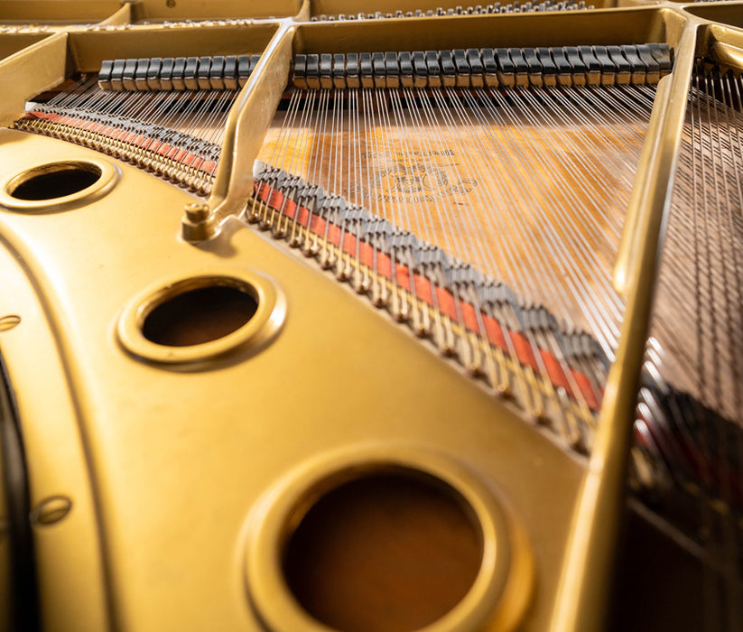 Kurtzman Grand Piano | Satin Walnut | Baby Grand Piano | Serial No.8504 | Used