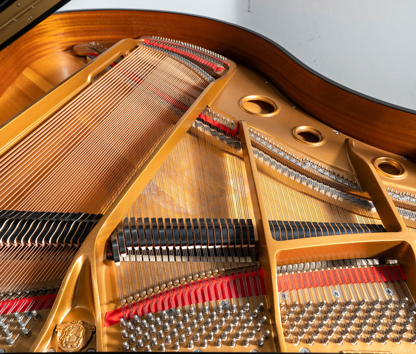 Samick SG-161 Grand Piano | Polished Ebony | Used