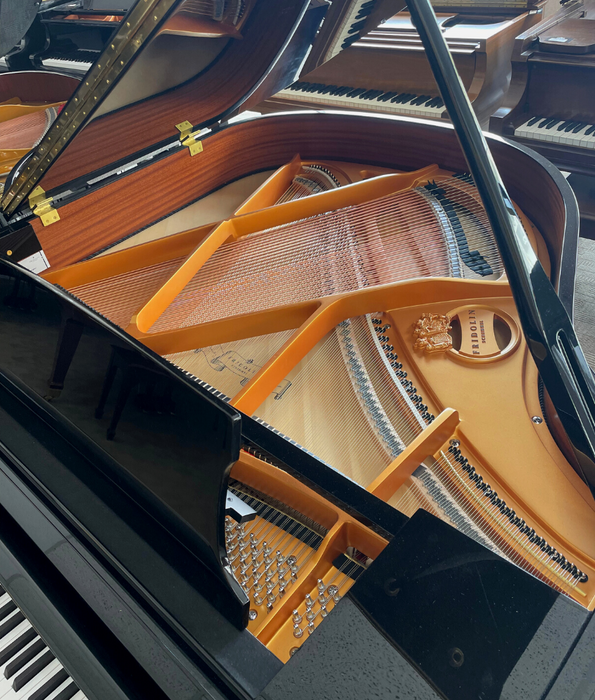 Fridolin 5'1" F156 Grand Piano | Polished Ebony