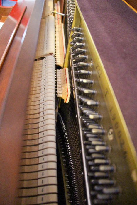 Yamaha P22 Dark Walnut Studio Piano w/ bench