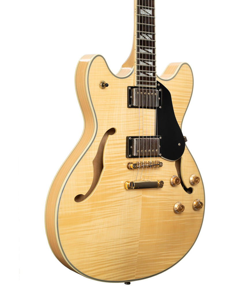 Pre-Owned Washburn HB-35NK Semi-Hollow Electric Guitar | UsedAlamo