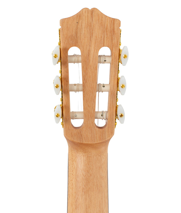 Cordoba Protege C1M 4/4 Nylon String Classical Guitar | New