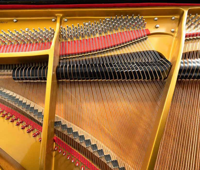 Steigerman F158 Grand Piano | Polished Ebony | SN: NO17 ...