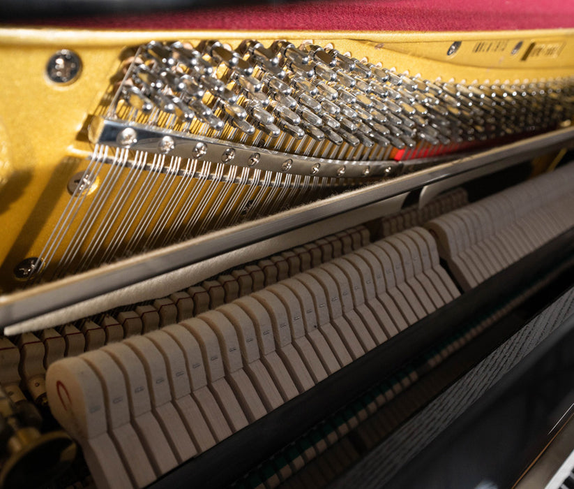 Pramberger LV118N Upright Piano | Polished Ebony | Used