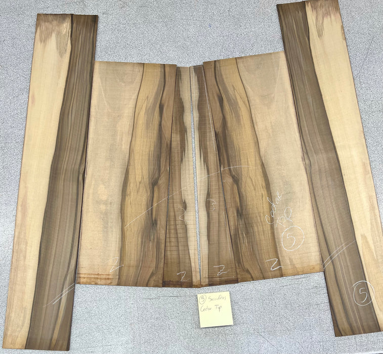 Taylor Custom Grand Auditorium Acoustic Guitar Factory Visit Hand Picked woods - Cedar/Blackheart Sassafras