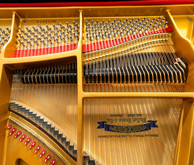 Hallet David & Co Classic Grand Piano | Polished Ebony | SN: DG22875 | Used