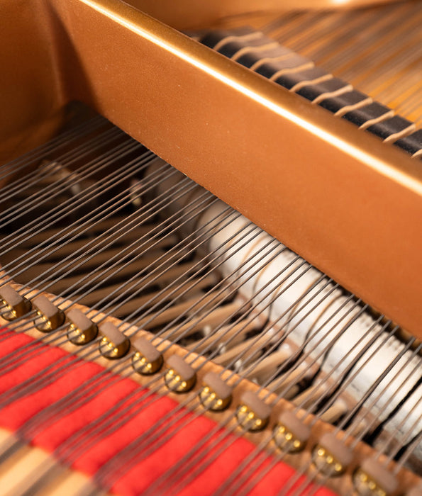2009 Yamaha C5 Grand Piano | Polished Ebony | 6'7" | Serial No. 6083829 | Used