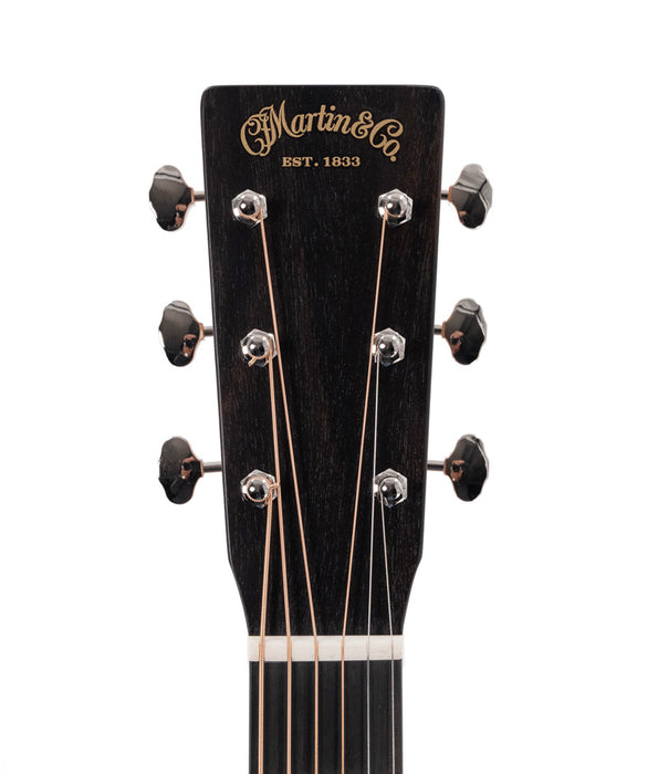 Martin D Biosphere III Acoustic Guitar - Printed Top with Polar Bear Theme | New
