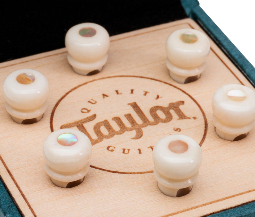 Taylor Water Buffalo Bone Guitar Bridge Pins | White with Awabi Shell | New