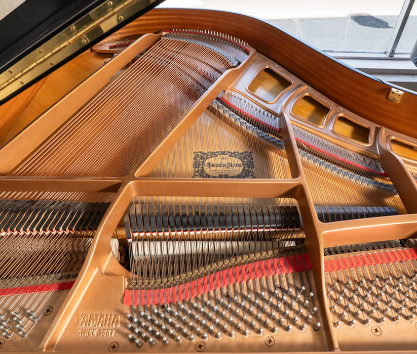 Yamaha GH1 Grand Piano | Polished Ebony | 5'3"| Serial No. B5190532 | Used