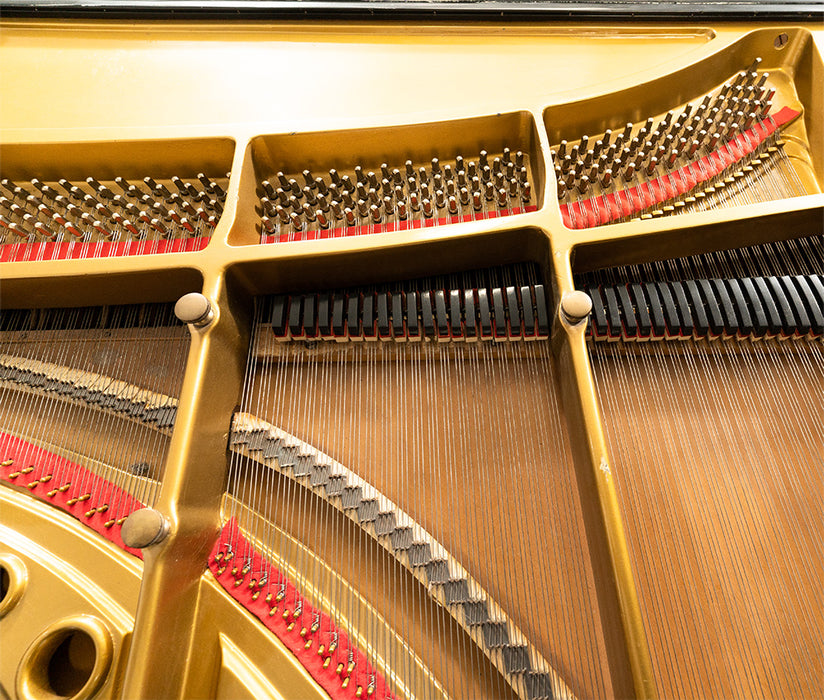 Chickering Classic 5'6 Baby Grand | Satin Ebony | SN: 120347 | Used