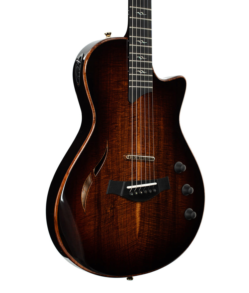 Electric Guitars Taylor Guitars Taylor Custom T5z HollowBody