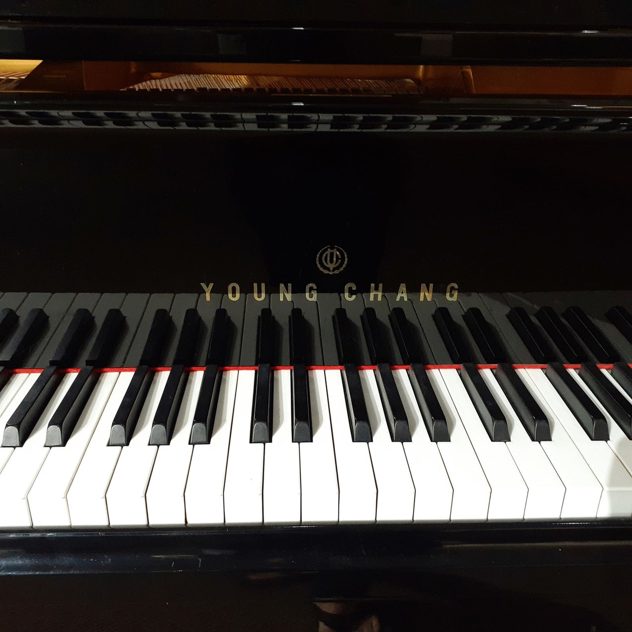 Young Chang G-150 Baby Grand Piano - Polished Ebony | UsedAlamo Music ...