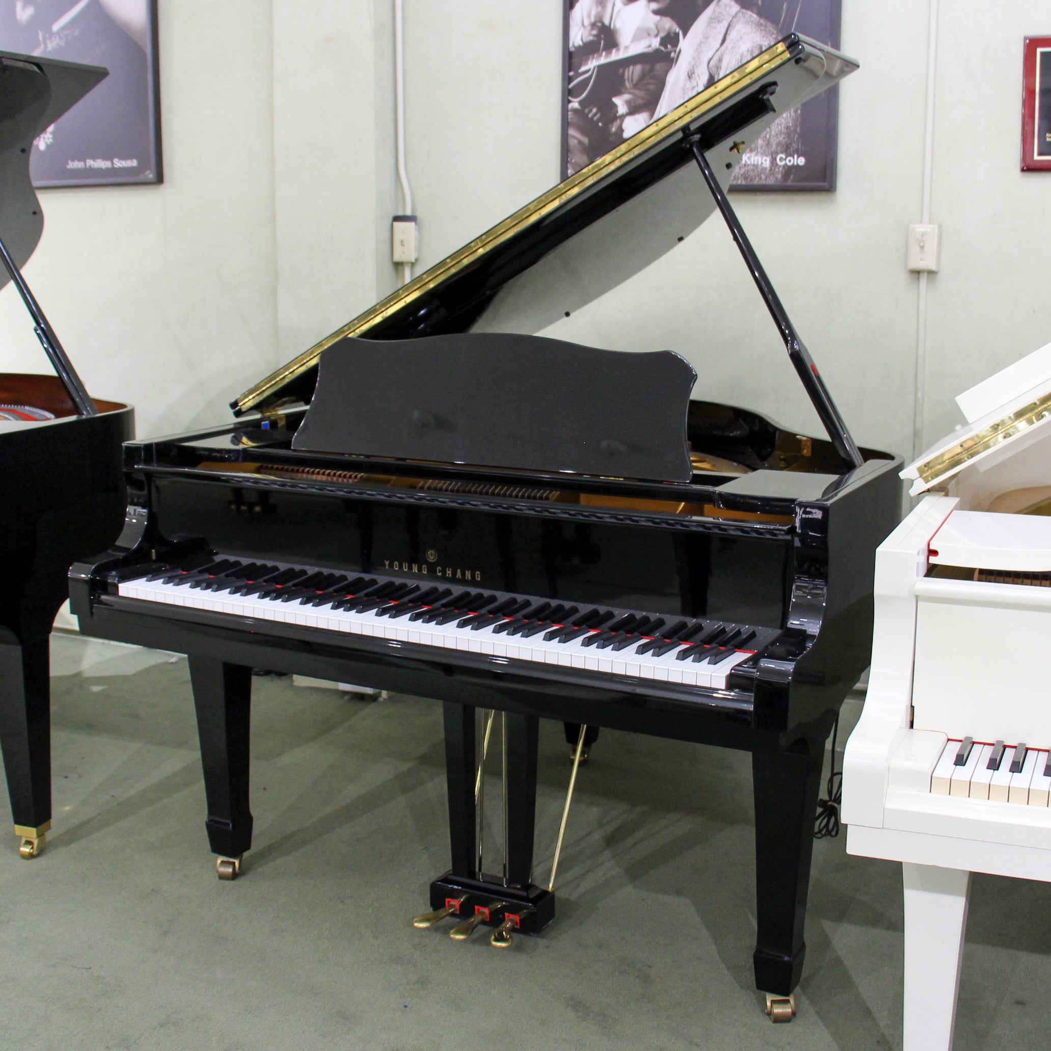 Young Chang G150 PE Baby Grand Piano | Polished EbonyAlamo Music ...
