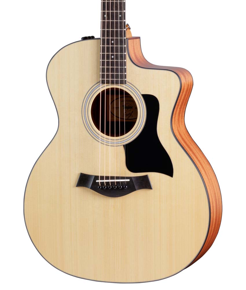 Taylor Guitars $100 Holiday Special