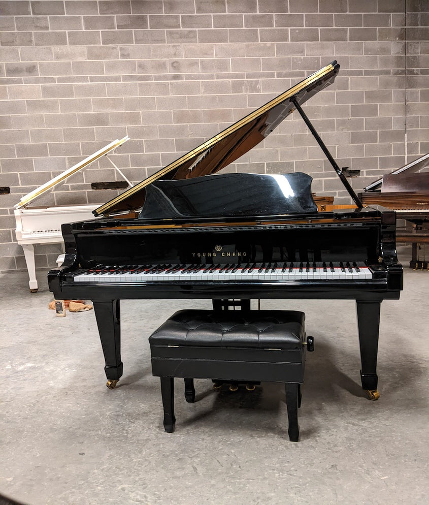 Young Chang TG-150 Baby Grand Piano | Polished EbonyAlamo Music ...