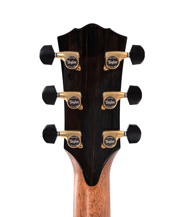 Taylor Gold Label 917e Grand Pacific Acoustic-Electric Guitar - Adirondack/Honduran Rosewood, Sunburst | New