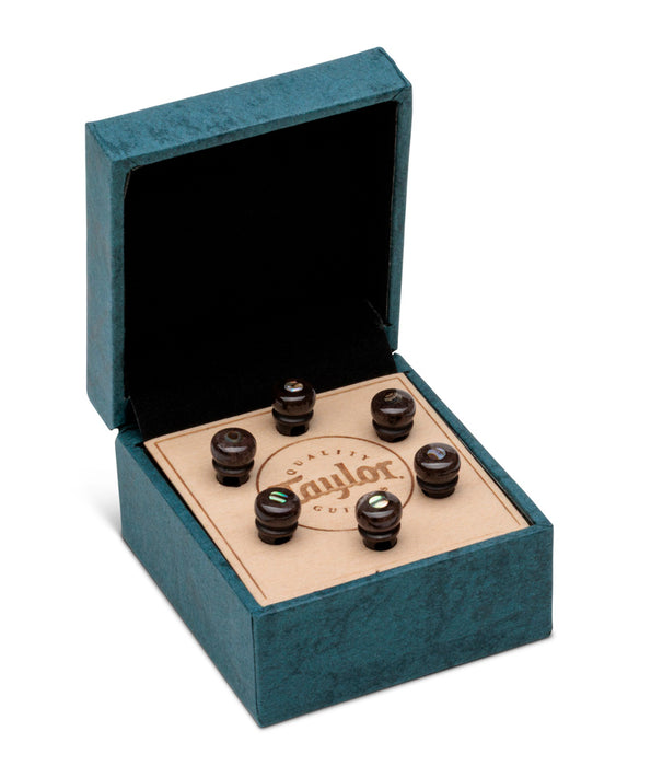 Taylor Water Buffalo Guitar Bridge Pins | Bone Brown with Abalone Inlays | New
