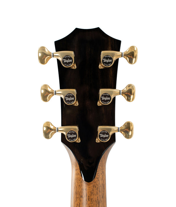 Taylor Custom Grand Auditorium Acoustic Guitar Factory Visit Hand Picked woods - Cedar/Blackheart Sassafras