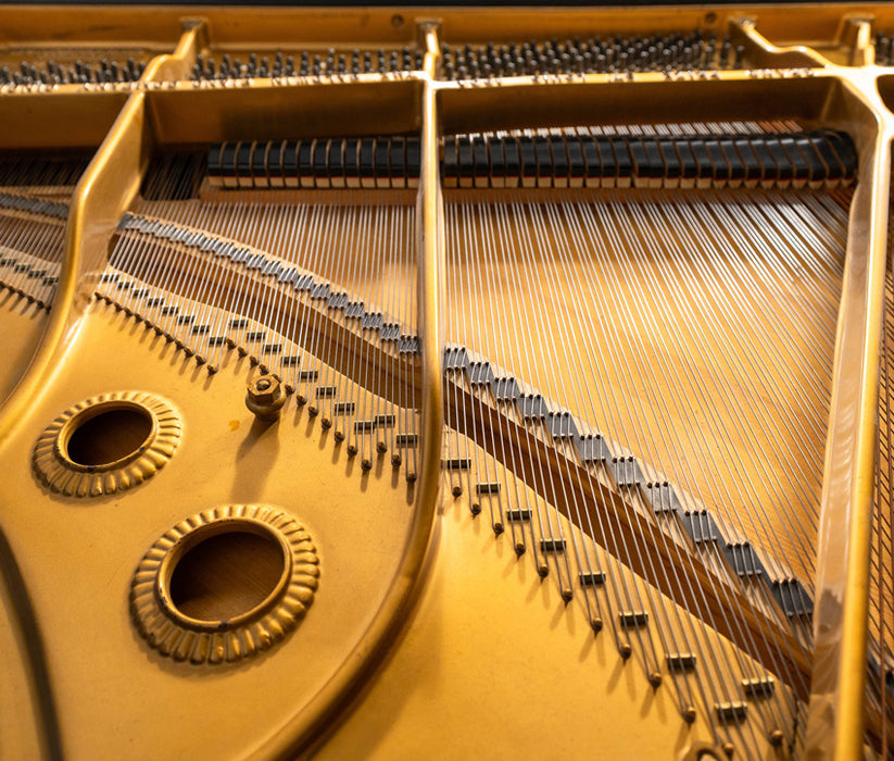 1965 Baldwin Model M Grand Piano | Satin Ebony | 5'2" | Serial No.156681 | Used