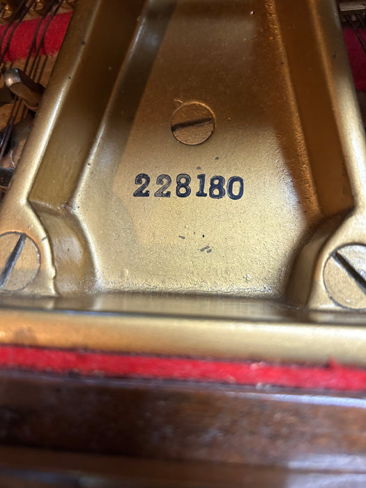 1924 Steinway Model A 6'2" Grand Piano | Polished Walnut | SN:228180 | Used