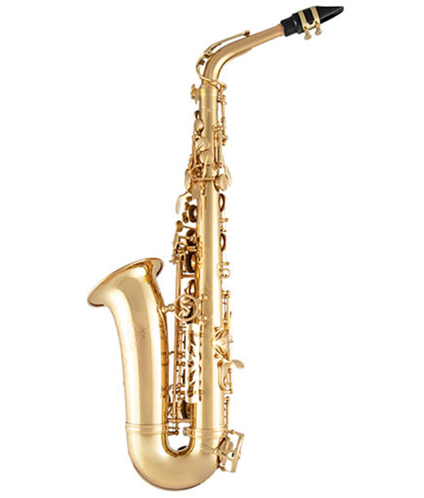 Pre-Owned Selmer SAS411 Step-up Alto Saxophone - Lacquered | Used