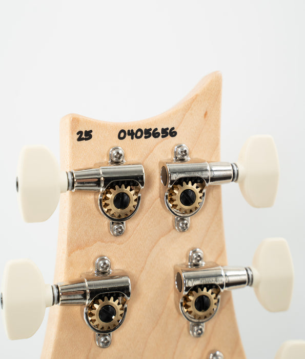 PRS Swamp Ash Special Electric Guitar - Scarlet Smokeburst with Rosewood Fingerboard