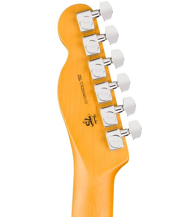 Fender American Professional Telecaster Electric Guitar - Dark Knight, Rosewood Fingerboard | New