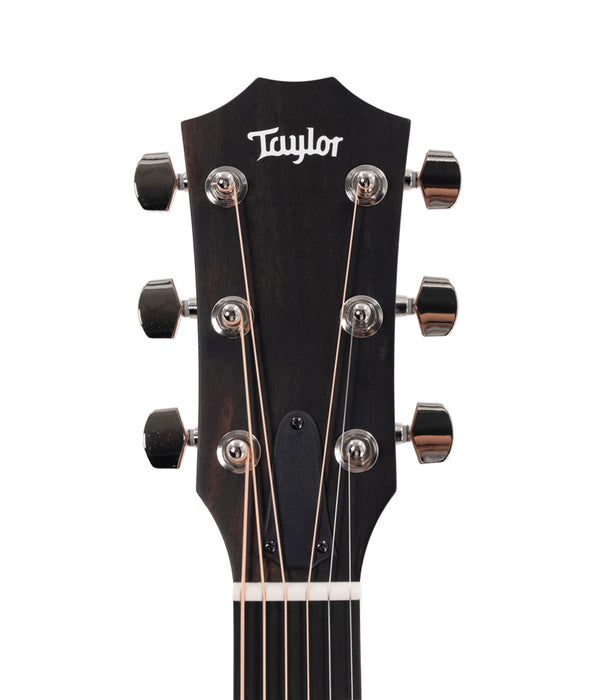 Taylor 414ce Studio Special Edition Rosewood/Spruce Acoustic-Electric Guitar - Honeyburst | New