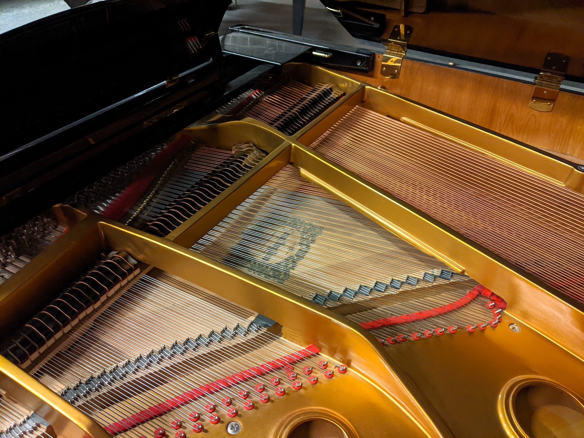 Young Chang TG-150 Baby Grand Piano | Polished EbonyAlamo Music ...