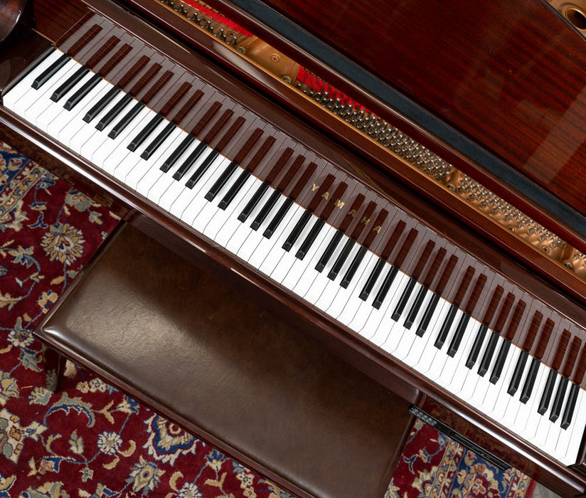 Yamaha 5'3" GC1 Grand Piano w/ CD Player | Polished Mahogany
