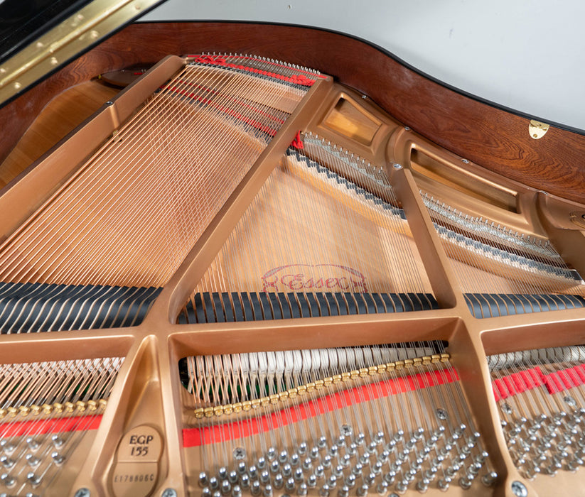 Essex EGP-155 Grand Piano with QRS Player | Polished Ebony Player Piano | 5'2" | Used