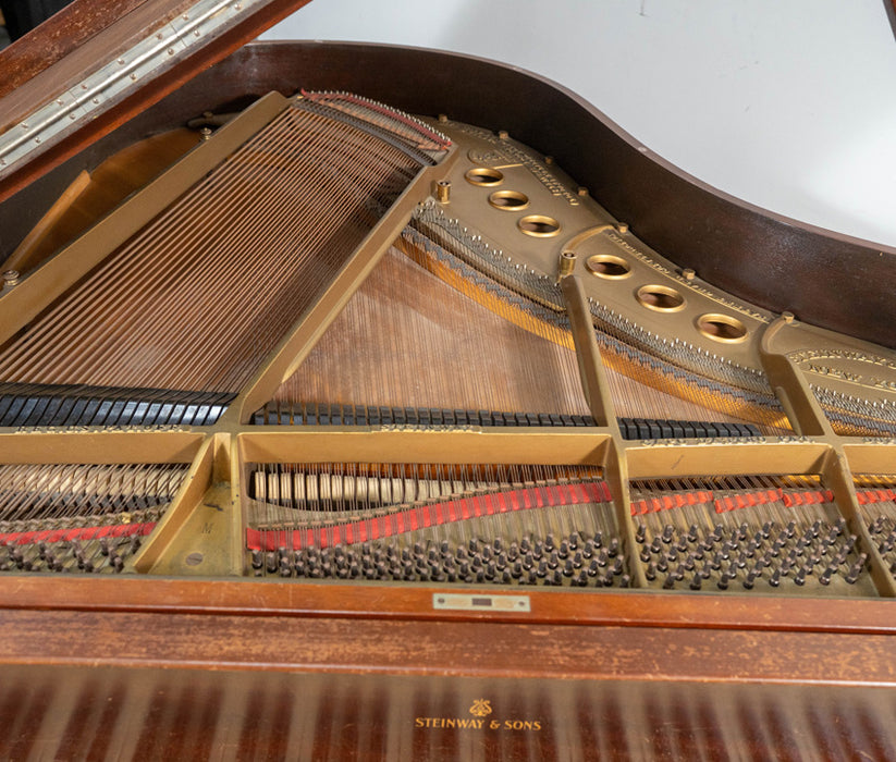 Steinway & Sons Model M Grand Piano | 5'7" | Rosewood | Used