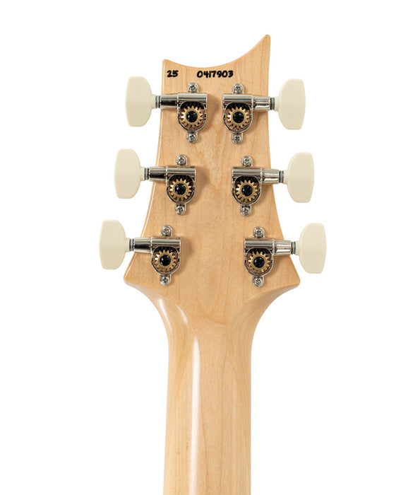 PRS NF 53 Rosewood Fretboard Electric Guitar - Black Doghair | New
