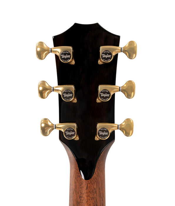 Taylor 914ce Next Generation Builder's Edition Acoustic-Electric Guitar | New