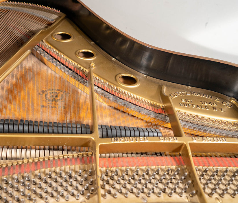 Kurtzman Grand Piano | Satin Walnut | Baby Grand Piano | Serial No.8504 | Used