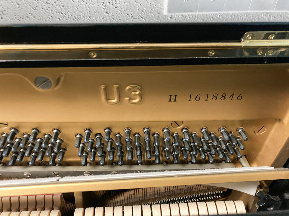 Yamaha U3H EP 52" with Bench