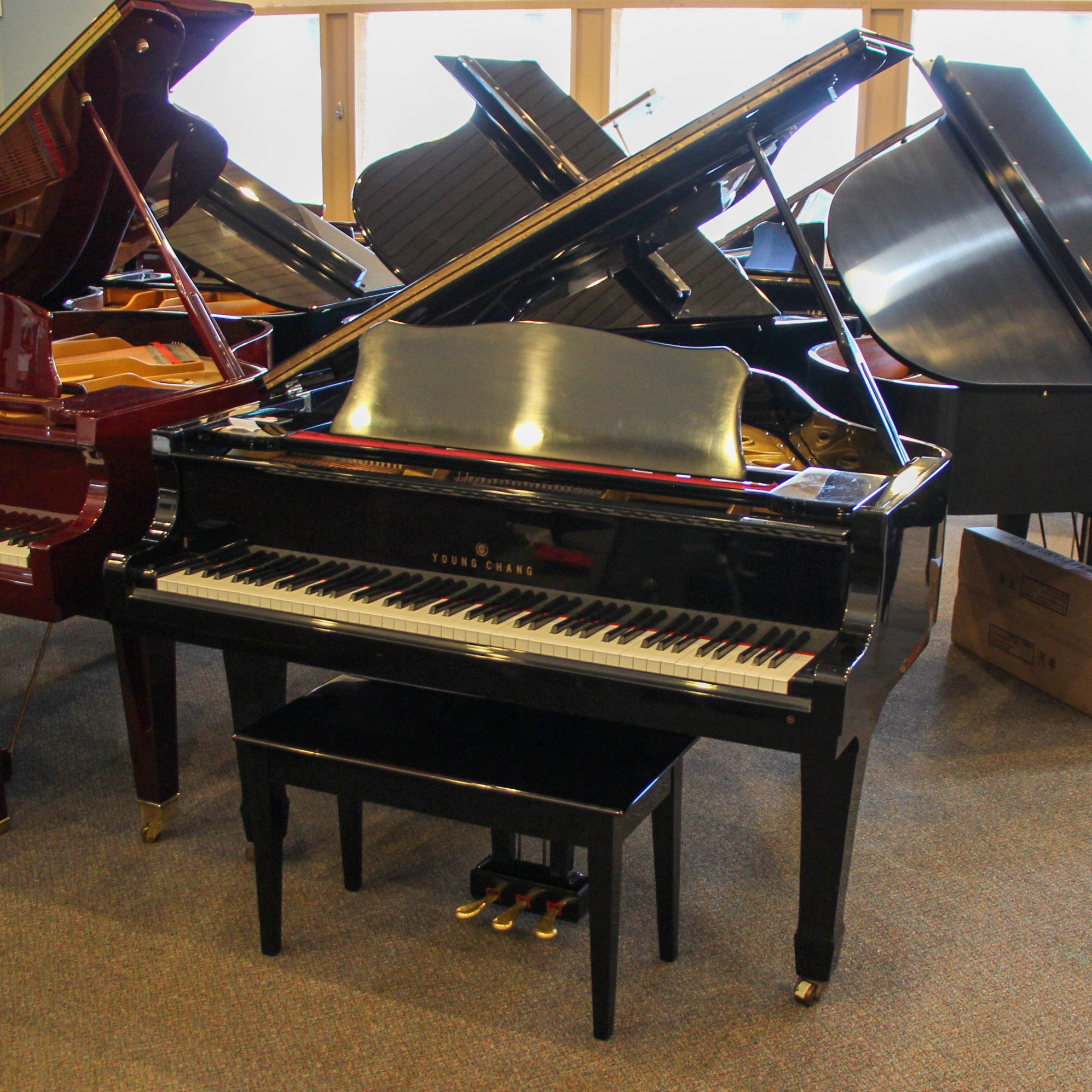 Young Chang Polished Ebony Baby Grand PianoAlamo Music CenterYoung ...