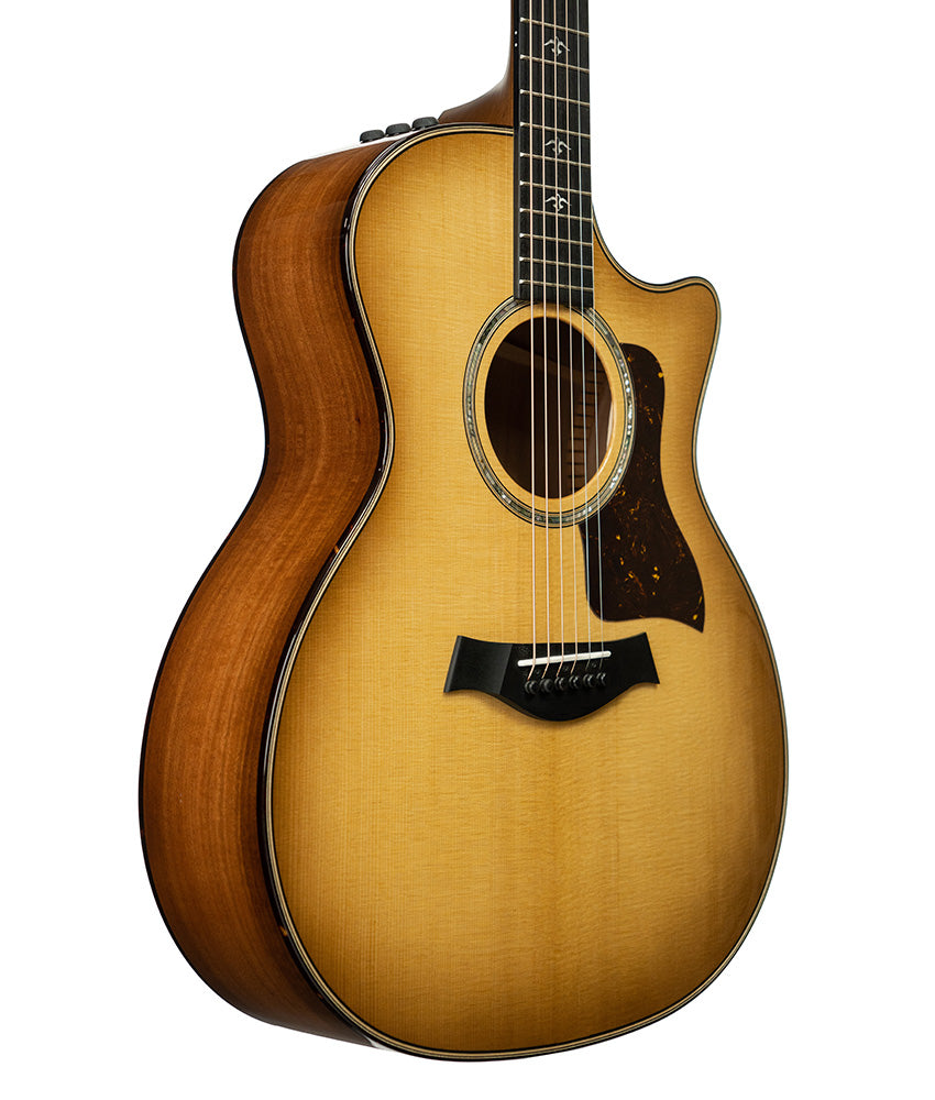 AcousticElectric Taylor Guitars Taylor 514ce Grand Auditorium